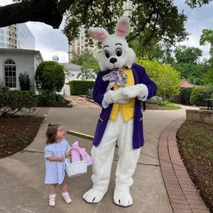 Sage and Lilly Dress size 24 Months